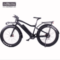 Electro bike 8fun motor electric bike,48V550W Hot sale ebike